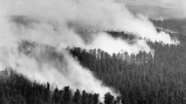 1983 Ash Wednesday bushfires, South Australia. Kuitpo State Forest, south of Adelaide still ablaze around noon 17 Feb 1983.