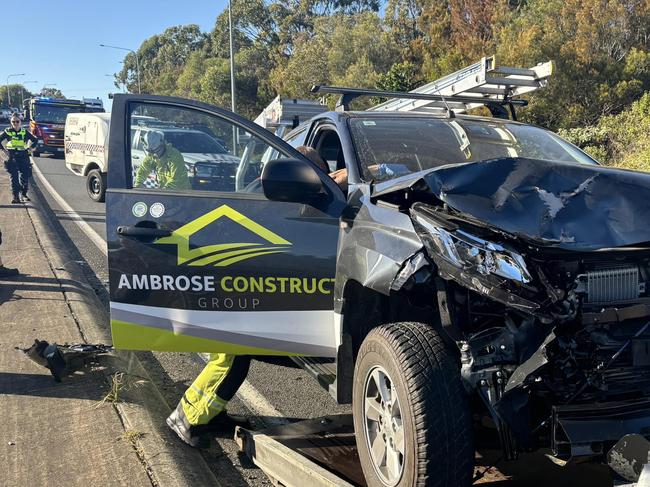 Two teens have been charged over an alleged wild joyride in stolen cars as a Sunshine Coast business begged people who recorded the incident unfolding to contact police after its ute was nicked.