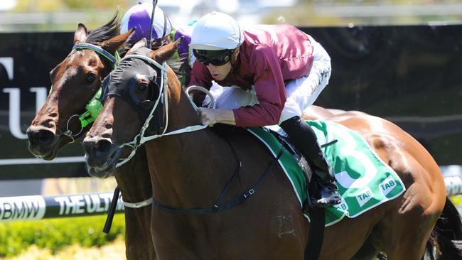 Race 4 — 2:30PM TAB HIGHWAY HANDICAP (1550 METRES). Winner 'Sunny Fame' ridden by Josh Parr.