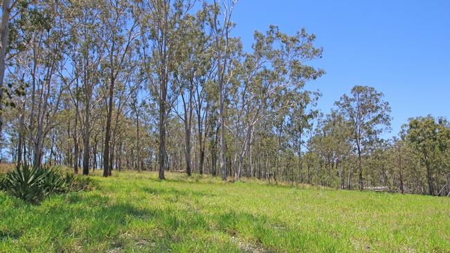 The Wondecla man told the court he had experienced chronic knee and back pain for more than 20 years and could not afford medicinal cannabis.