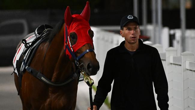 Trainer Mitch Freedman took stable star Attrition to Caulfield for a gallop on Tuesday morning to prepare him for Saturday’s Futurity Stakes. Picture: Getty Images