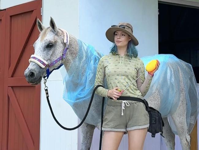 Charlotte Gunders with horse Tarek
