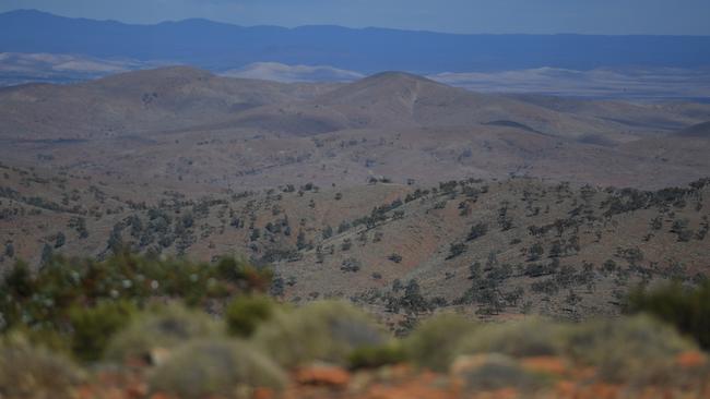 The view from the top of the hill where Tanja and Michael were married. Picture: Naomi Jellicoe