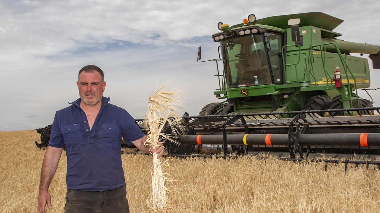 Victoria’s first grain harvest