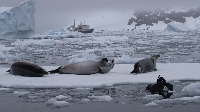 Photographing wildlife is truly an immersive experience. Picture: Scott Portelli