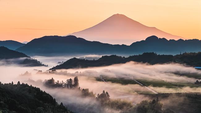 Mount Fuji and the Shizuoka tea fields shrouded in mist.