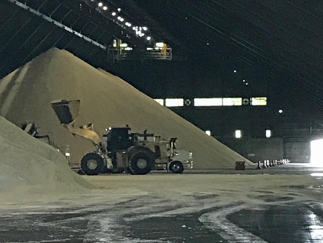 Inside the sugar sheds at Mackay Sugar Terminal.