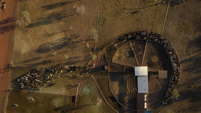 Aerial photo of Gumaranganyjal, Roebuck Plains Cattle Station station 30km outside of Broome.