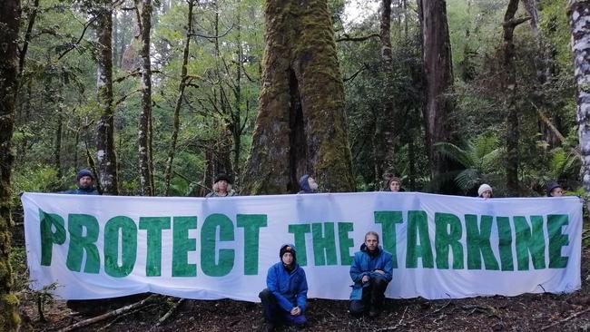 Bob Brown Foundation supporters camped in rainforests at Que River in a bid to stop logging by Sustainable Timbers Tasmania. Picture: BOB BROWN FOUNDATION