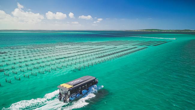 Experience Coffin Bay tour. Astyn Reid, Kinship Productions