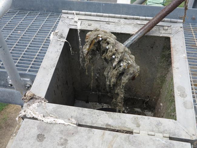 Wet wipes at Beaudesert Sewage Treatment Plant. Picture: Urban Utilities