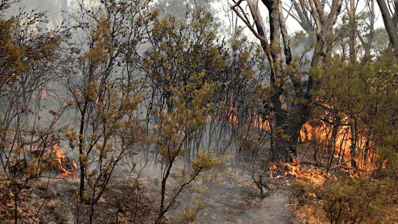 At Least 20 Properties Destroyed As Bushfire Burns In Blue Mountains ...