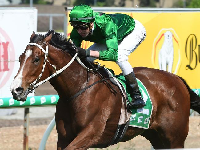 Far Too Easy winning on the Gold Coast to stake his claim for the rich "The Kosciuszko" Pic credit Grant Peters, Trackside Photography