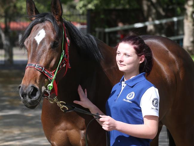 Improvement is expected from smart youngster Sold For Song, pictured with strapper Madison Smetheram.