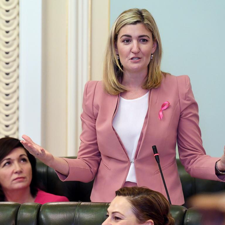 Shannon Fentiman. NOW: Shannon has been the Labor member for Waterford since 2015, and was sworn in as Minister for Communities, Women and Youth, Minister for Clid Safety and Minister for Multicultural Affairs in February 2015. Currently she is the Minister for Training and Skills and the Minister for Employment and Small Business. (AAP Image/Dave Hunt)