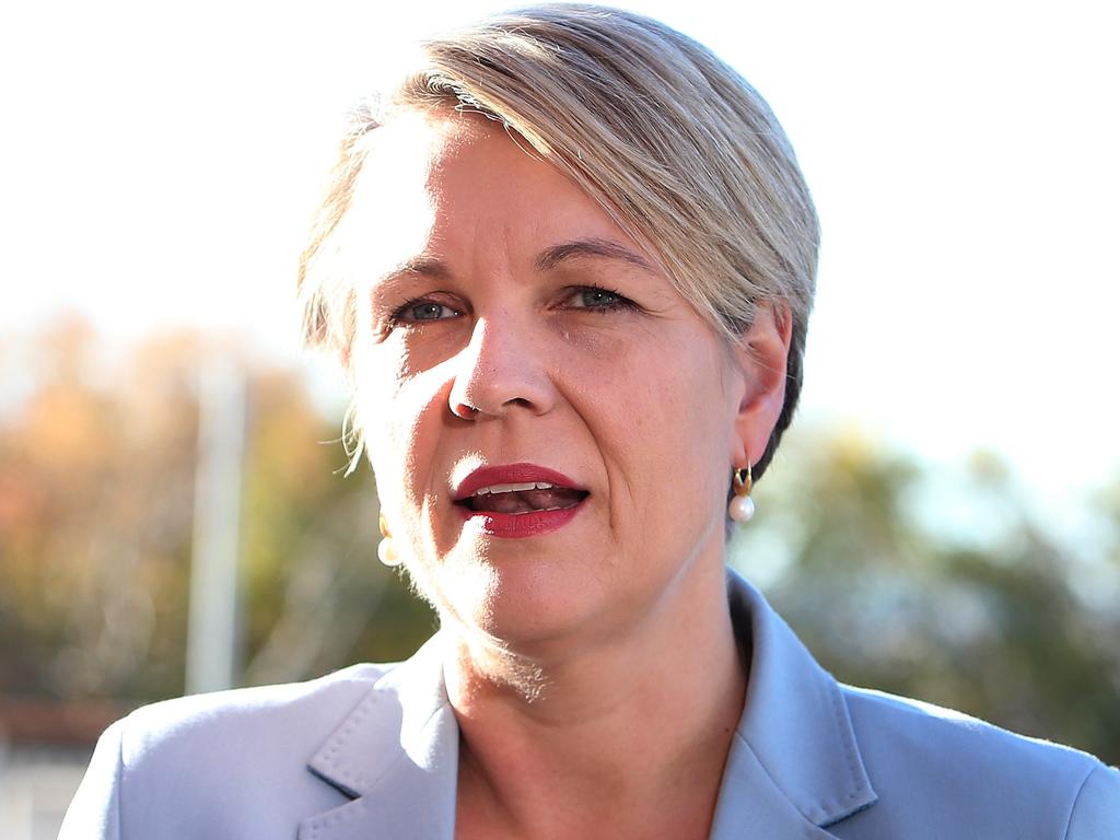 Tanya Plibersek Rules Out Ever Running For Party Leader The Australian