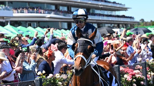 MELBOURNE, AUSTRALIA - NOVEMBER 05: Joao Moreira riding Buckaroo to the start before Race 7, the Lexus Melbourne Cup - Betting Odds during Melbourne Cup Day at Flemington Racecourse on November 05, 2024 in Melbourne, Australia. (Photo by Vince Caligiuri/Getty Images)