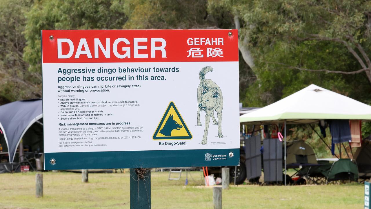 Dingo danger signs at Waddy Point, K’gari. Picture: Liam Kidston