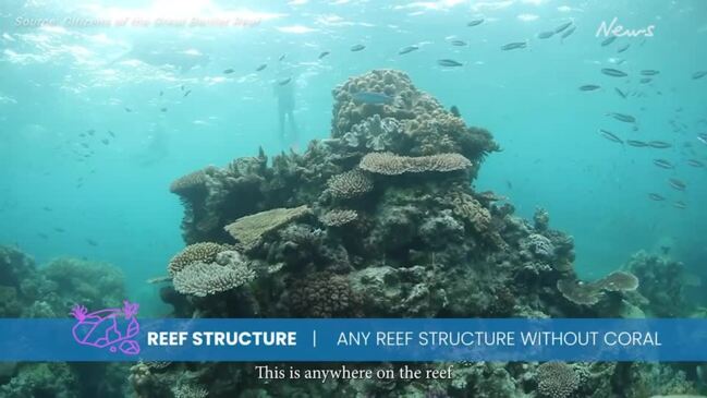 The Great Reef Census by Citizens of the Reef