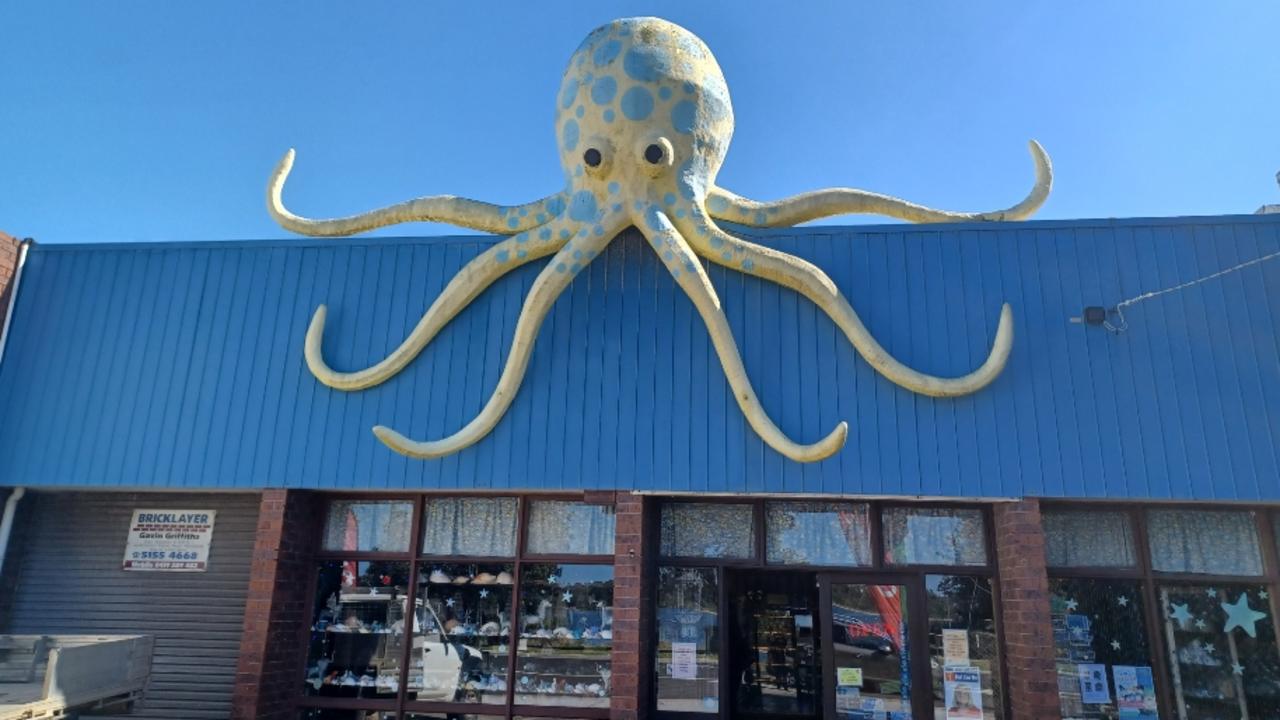 Griffiths Sea Shell Museum &amp; Marine Display in Lakes Entrance is home to the big Aussie Octopus, joining the more than 90,000 shells and sea creatures on display there.