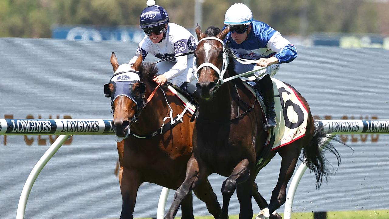 Sydney Racing - Five Diamonds Ladies Day