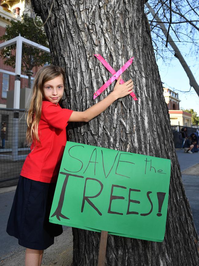 “I want to show these trees have a right to live.” – Amber Grant. Picture: AAP / Keryn Stevens