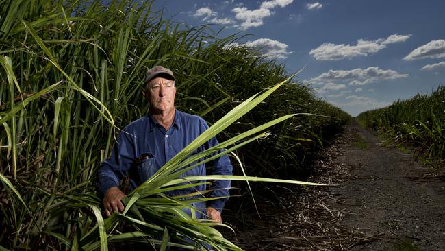 Norwell sugar cane farmer Peter Kaddatz.