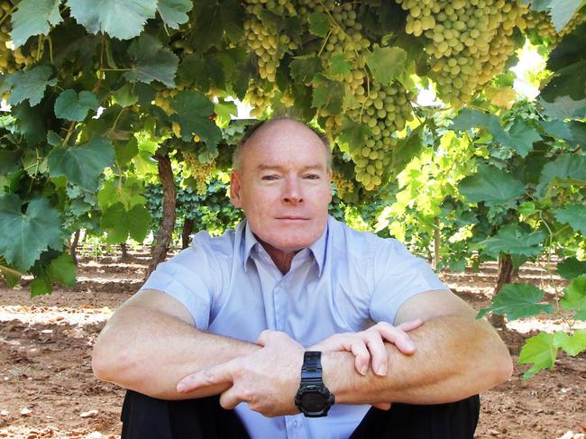 Jeff Scott is the CEO of the Australian Table Grape Association, pictured with table grapes on a property in Mildura.