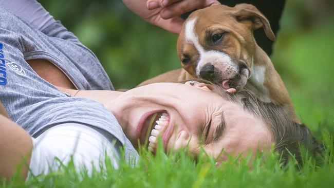 Let a puppy lick your ear. That’s sure to cheer you up a bit. Picture: Jason Edwards