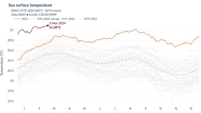 Global Ocean Temperatures Have Hit New Highs In 2024 As The Earth Is   36534c503fbb7dc2d57403be682322e7