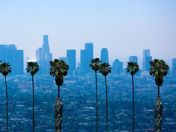 Beautiful Los Angeles Skyline with Palm Trees.