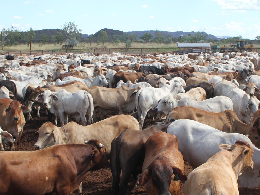 Prime beef off menu as cost of living bites