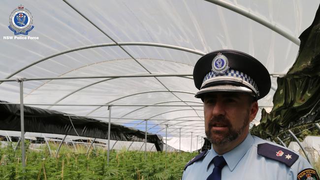 Police uncovered the plants at three properties on the mid north coast. Picture: NSW Police via NCA NewsWire