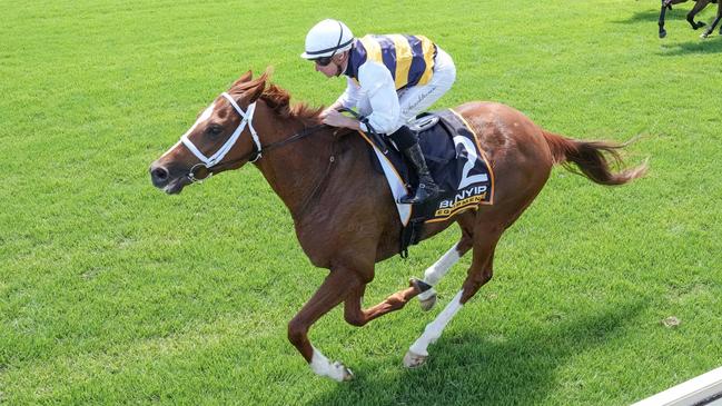 Deakin (FR) ridden by Daniel Stackhouse wins the Bunyip Equipment Handicap at Sportsbet Pakenham on December 21, 2024 in Pakenham, Australia. (Photo by George Sal/Racing Photos via Getty Images)