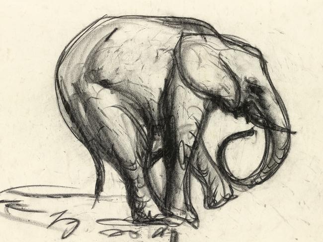 Fred WilliamsElephant 1953conté crayon25.2 x 31.8 cm (sheet)National Gallery of Victoria, MelbournePresented by the Art Foundation of Victoria by Mrs Lyn Williams, Founder Benefactor, 1988© Estate of Fred Williams