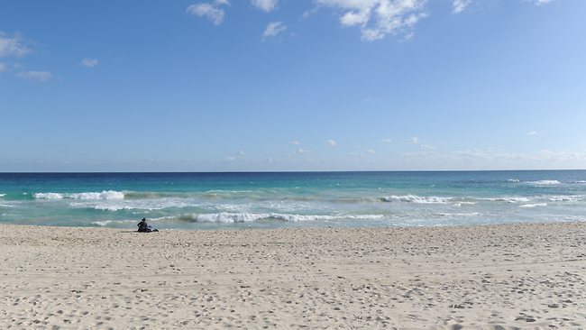 Fear of sharks keeps swimmers away from WA beaches | news.com.au ...