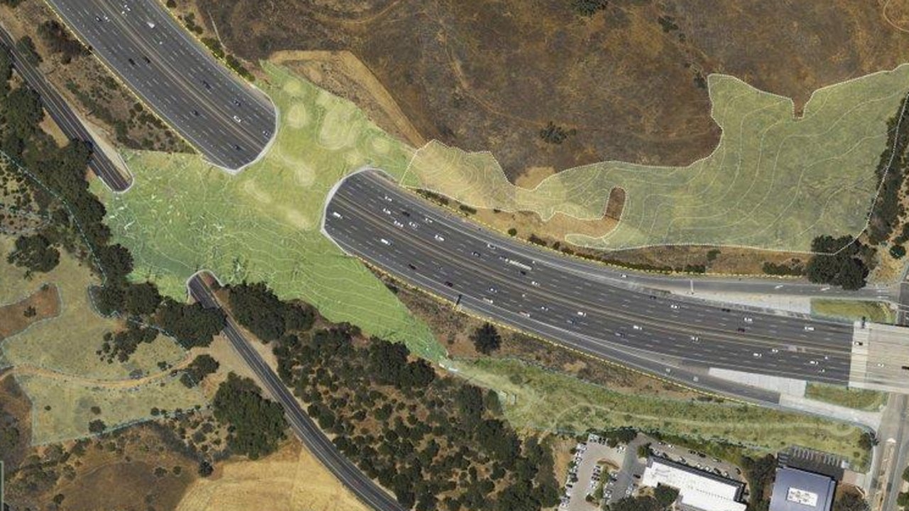 This undated artist's rendering provided by the Resource Conservation District of the Santa Monica Mountains shows a planned wildlife crossing over U.S. Highway 101 in Agoura Hills, Calif. Hoping to fend off the extinction of mountain lions and other species that require room to roam, transportation officials and conservationists will build a mostly privately funded wildlife crossing over the freeway. (Clark Stevens, Architect/Raymond Garcia, Illustration/RCD of the Santa Monica Mountains via AP)