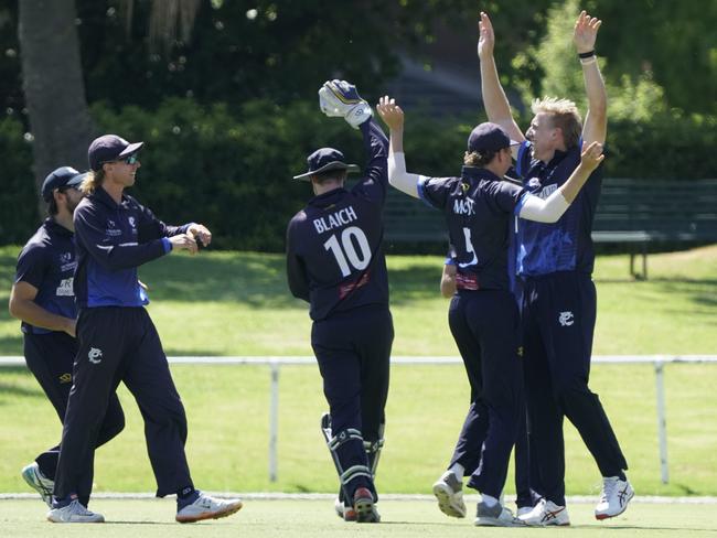 Premier: Will Sutherland celebrates a wicket for Prahran. Picture: Valeriu Campan