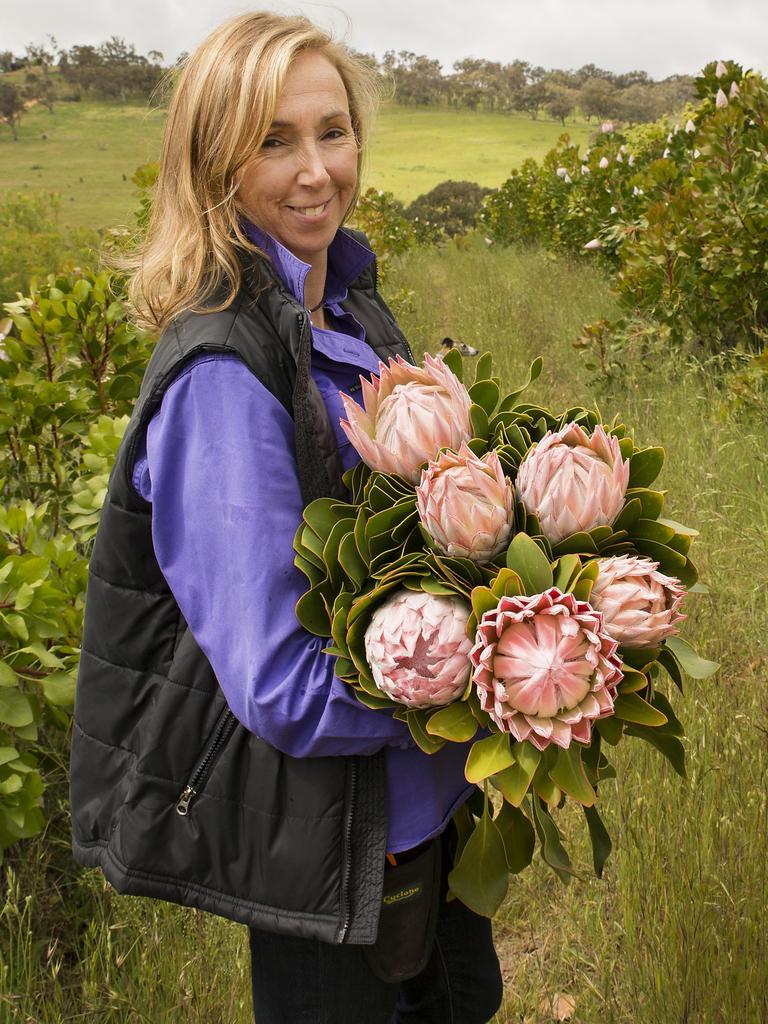 Fiona McGregor with some of her proteas grown at their farm, Stoney Creek Wildflower Farm near Bathurst. Picture: Kim Storey