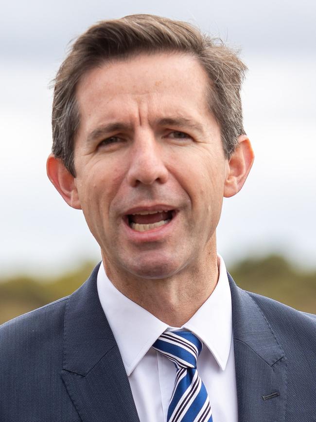 South Australian senator and federal Trade Minister Simon Birmingham. 