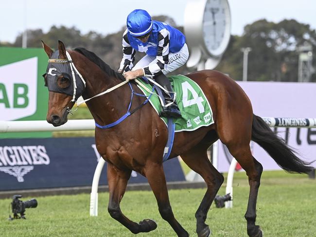 Hit The Rim will appreciate a drop in grade when he returns to his home track on Sunday. Picture: Bradley Photos