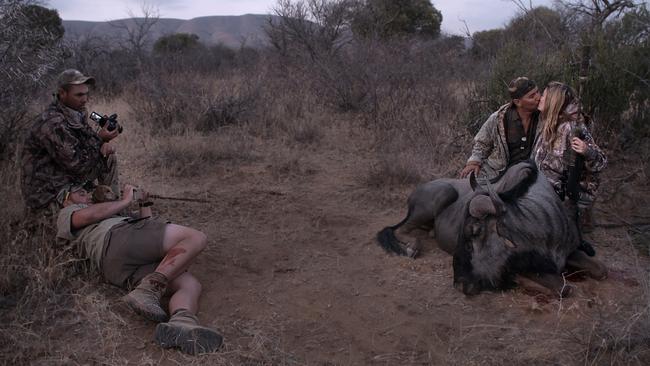 LIMPOPO, SOUTH AFRICA - August 2015: International clients pose for their trophy picture after shooting a wildebeest at Mabula Pro Safaris hunting ranch in South Africa.