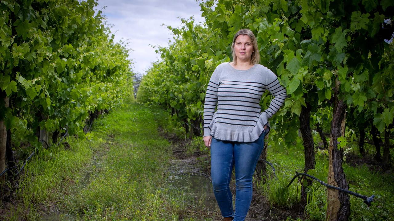 Salena Muirden, marketing manager at Salena Estate Wines at Bookpurnong. Picture: Emma Brasier