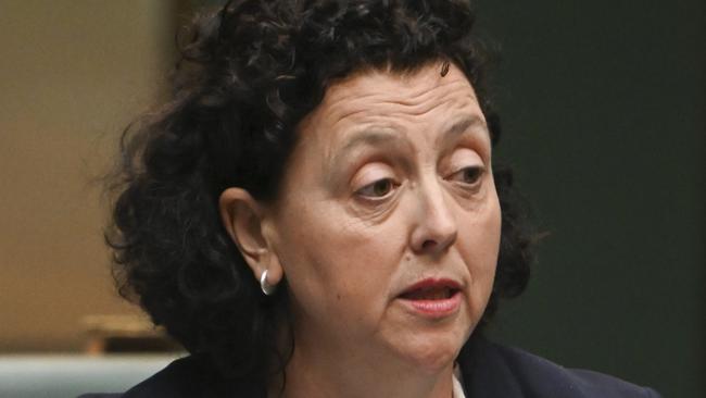 CANBERRA, AUSTRALIA  - NewsWire Photos - November 18, 2024: Dr. Monique Ryan MP during Question Time at Parliament House in Canberra. Picture: NewsWire / Martin Ollman