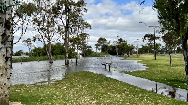 The southern end of Sturt Reserve at Murray Bridge on December 11, where footpaths and benches were being flooded. Picture: Jo Schulz