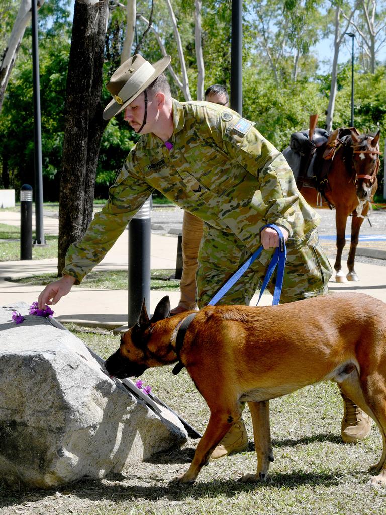 Corporal Nathaniel Horwath with retired military working dog Chewie from 1MP lays a poppy. Picture: Evan Morgan