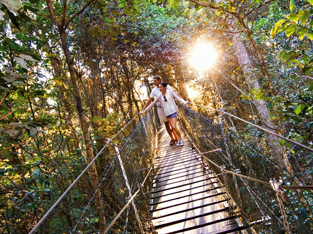 gold coast walking tour