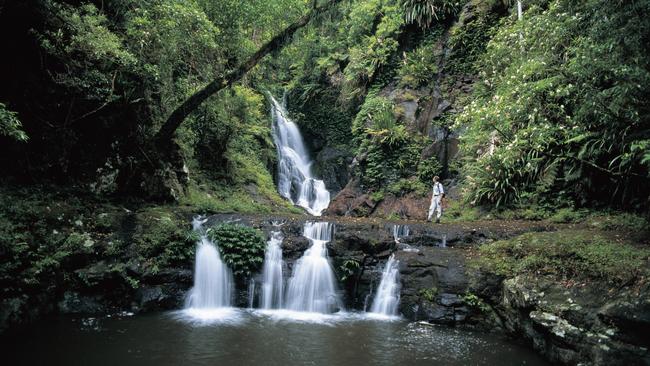 Lamington National Park’s Elabana Falls. Picture: Queensland Tourism