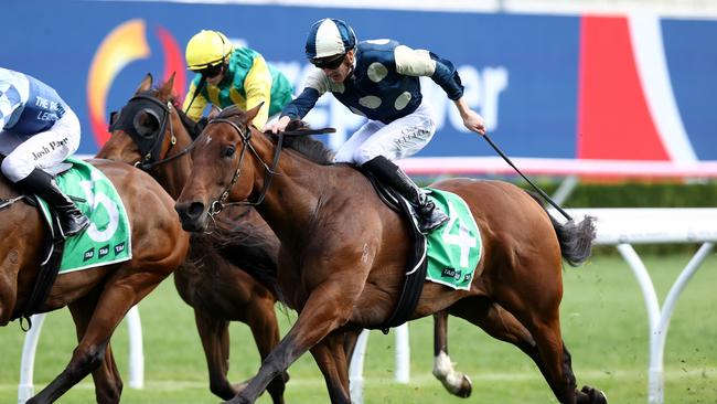 St Lawrence is the Festival Stakes favourite. Picture: Jason McCawley/Getty Images