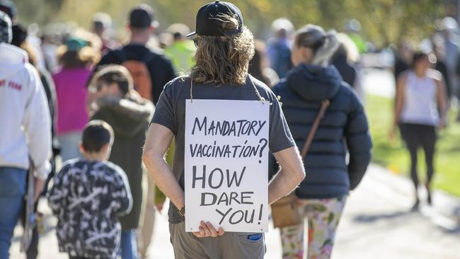 Protesters march into the Botanic Gardens. Picture: Tim Carrafa